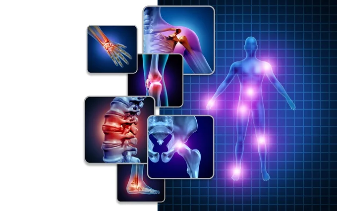 Collagen plays a crucial role in the formation of cartilage, the soft, rubbery tissue which cushions joints.