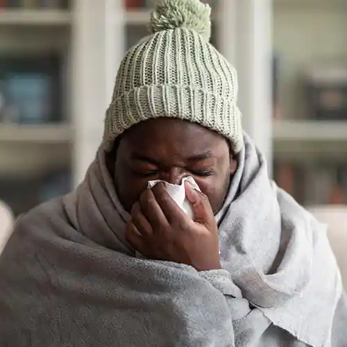 Immune System