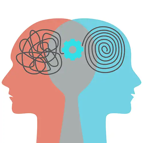 Focus/Memory/Cognition