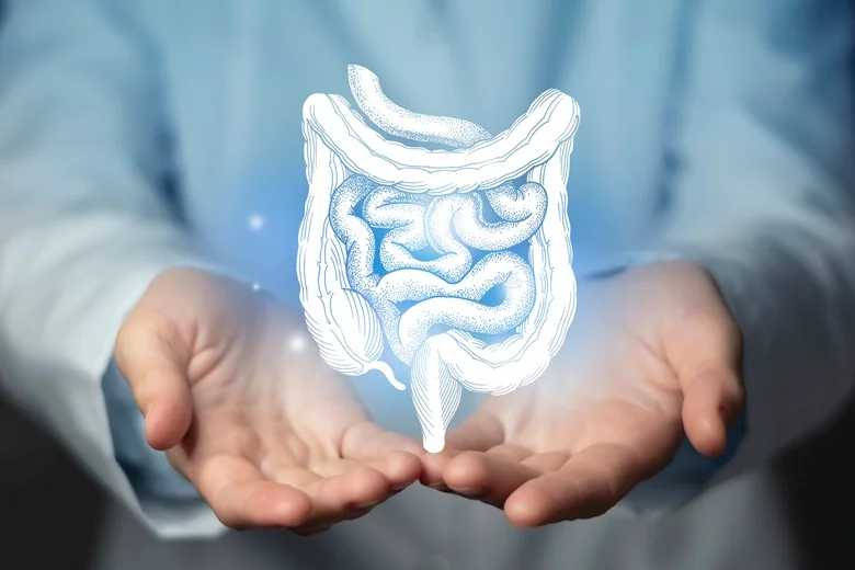 How To Improve Gut Health.