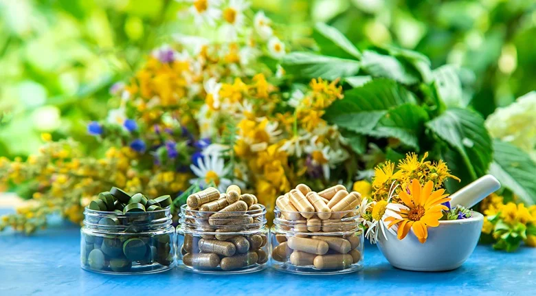 Plant Extract to Boost Immune System Health