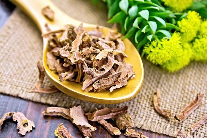 Rhodiola has medicinal properties that are found in the roots.