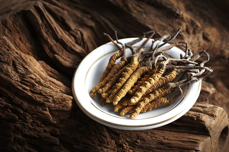 Cordyceps Benefits