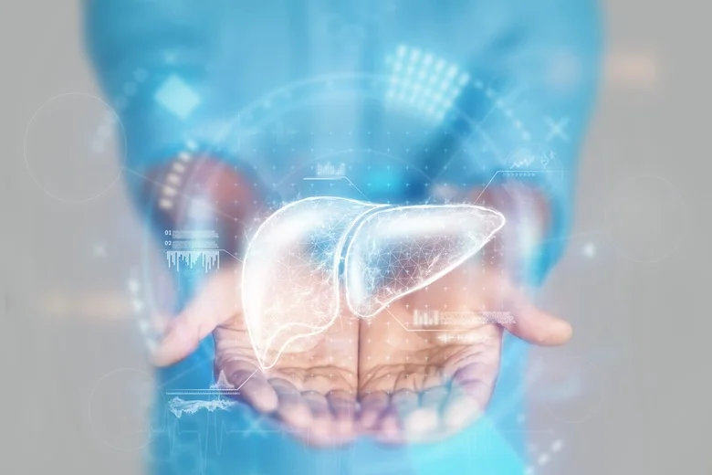 Liver Health Supplements