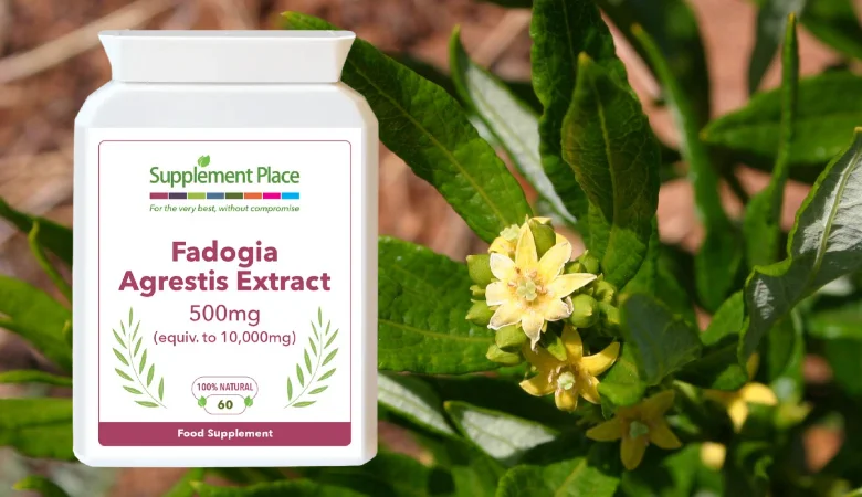 Fadogia Agrestis Benefits